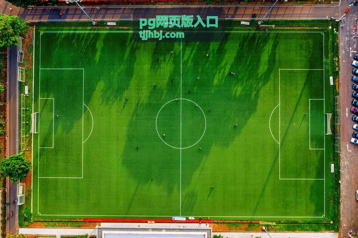 pg网页版入口安全校验与跳转流程示意