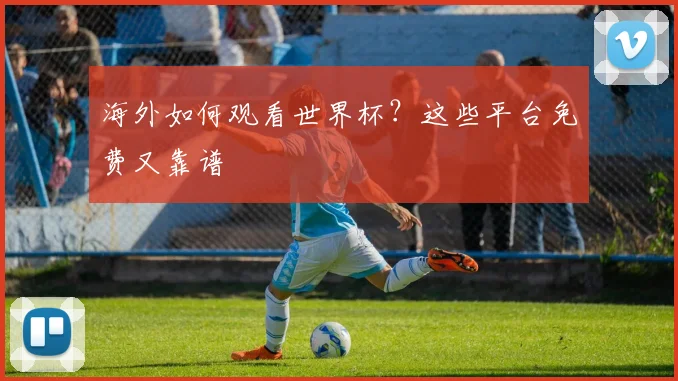 海外如何观看世界杯？这些平台免费又靠谱