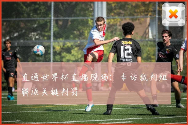 直通世界杯直播现场：专访裁判组解读关键判罚